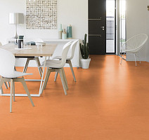 Taralay Initial Compact (Plain & allover look) 0966 Miami Abricot фото 2 | FLOORDEALER